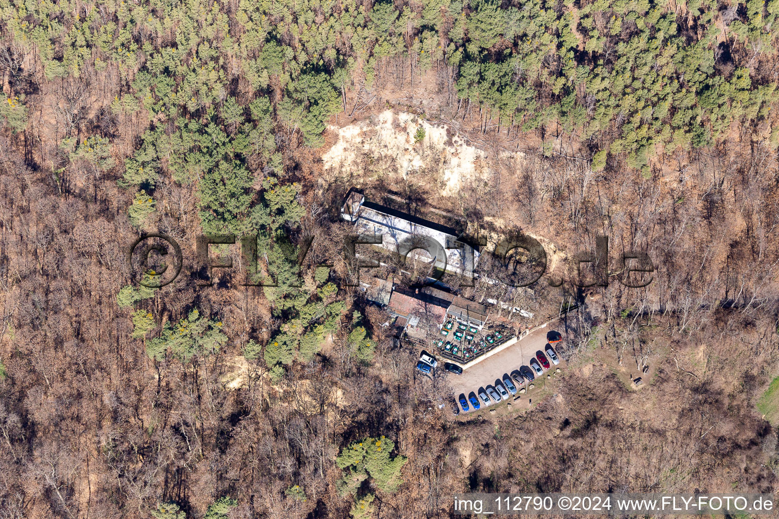 Vue aérienne de Waldgaststätte Pfalzblick à Ruppertsberg dans le département Rhénanie-Palatinat, Allemagne