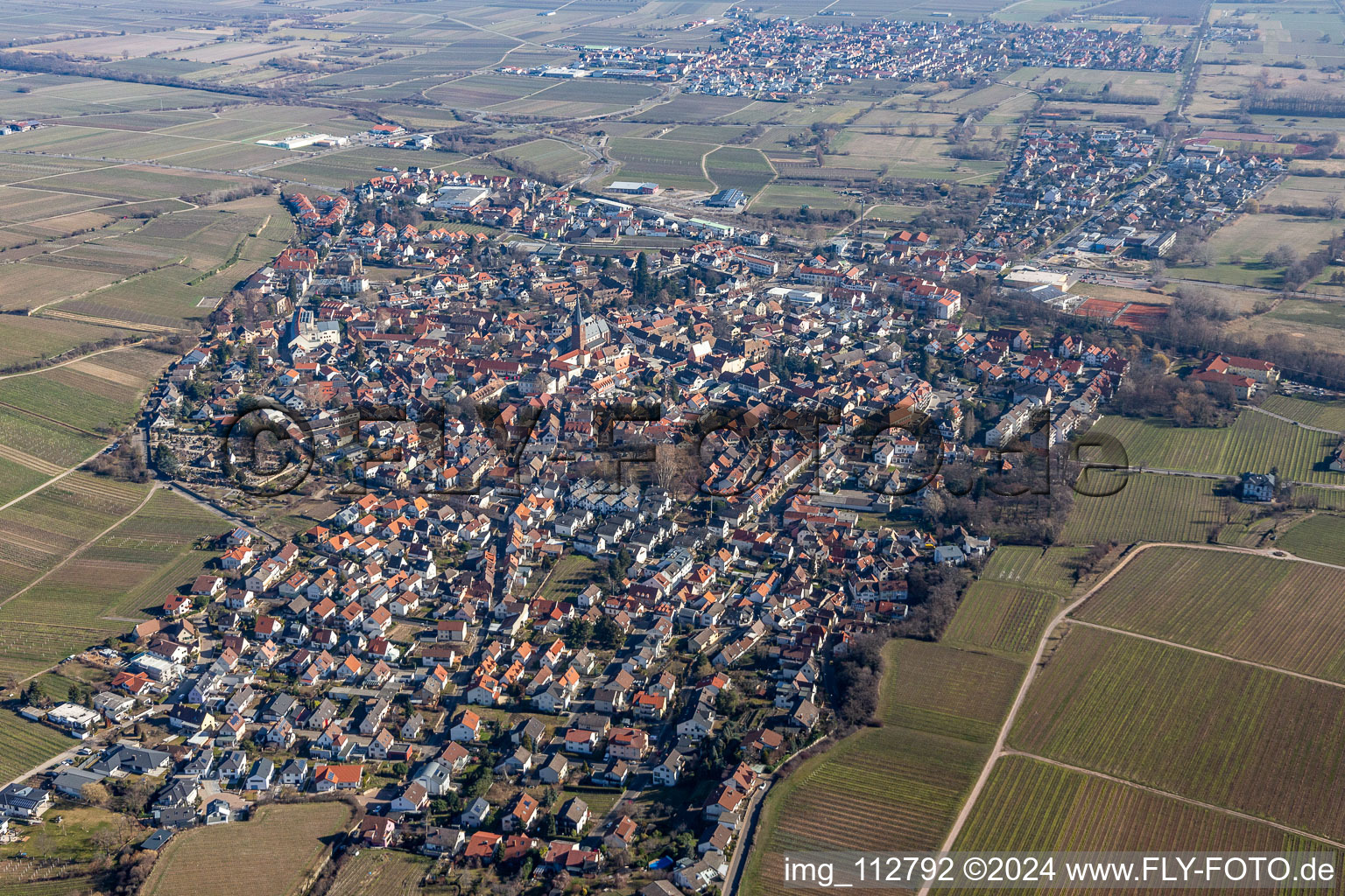 Vue aérienne de Région et environs à Deidesheim dans le département Rhénanie-Palatinat, Allemagne