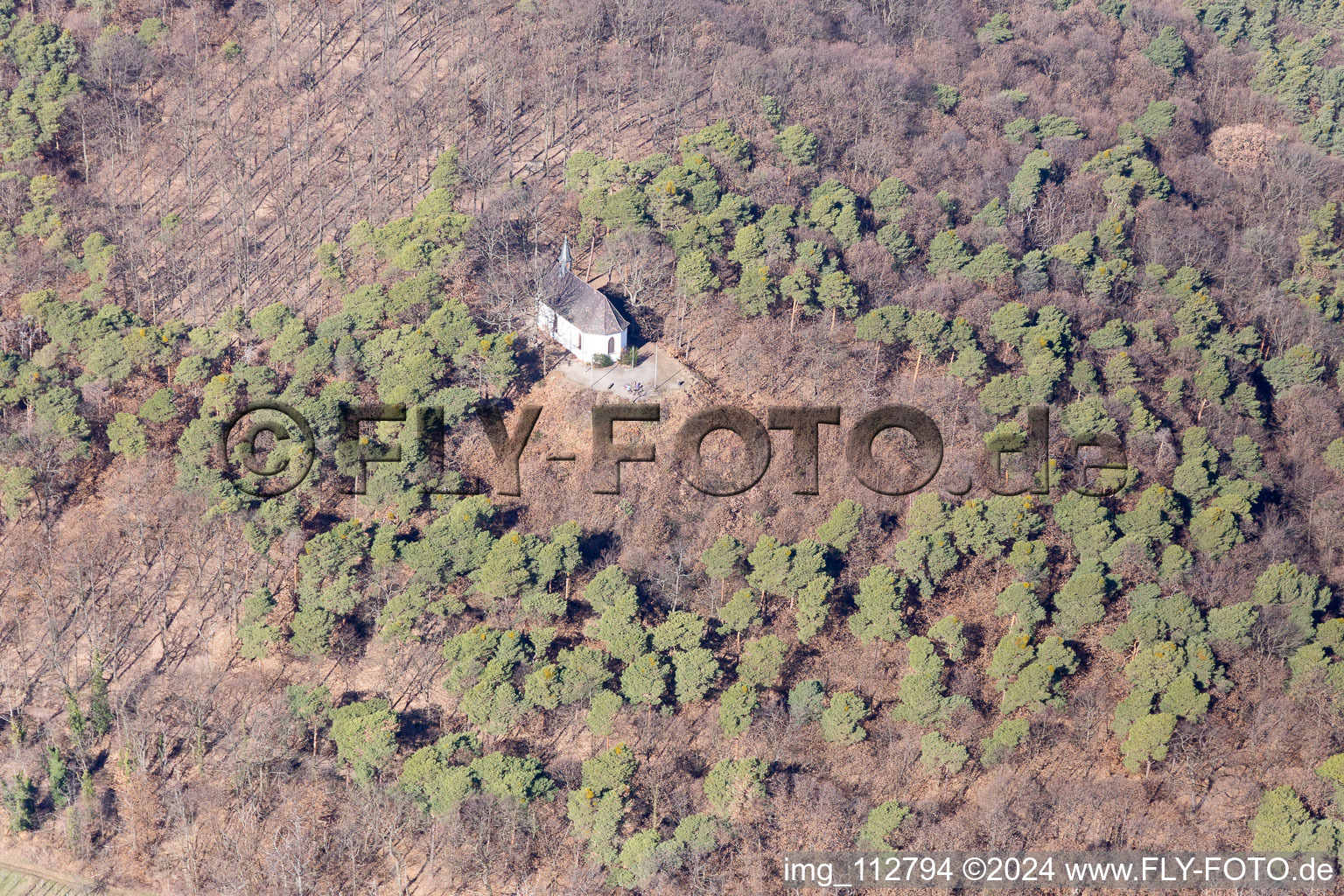 Vue aérienne de Chapelle Michel à Deidesheim dans le département Rhénanie-Palatinat, Allemagne