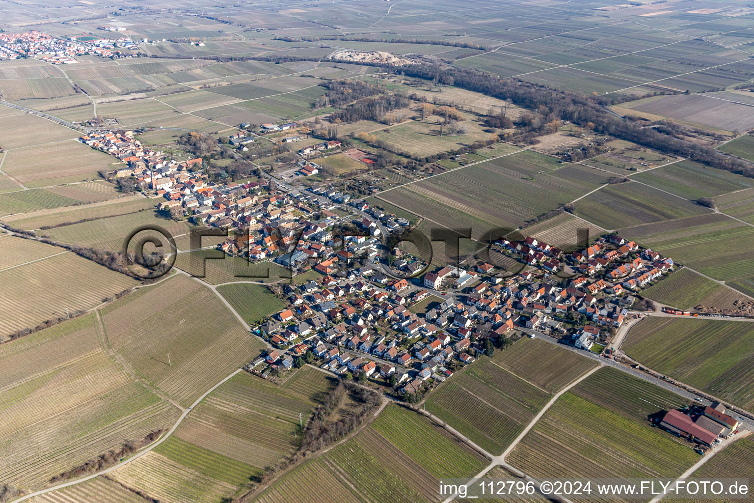 Vue aérienne de Vignobles à le quartier Forst in Forst an der Weinstraße dans le département Rhénanie-Palatinat, Allemagne