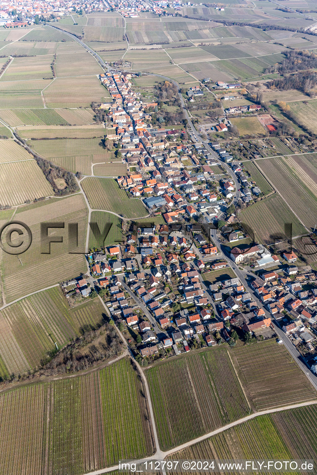 Vue d'oiseau de Forst an der Weinstraße dans le département Rhénanie-Palatinat, Allemagne