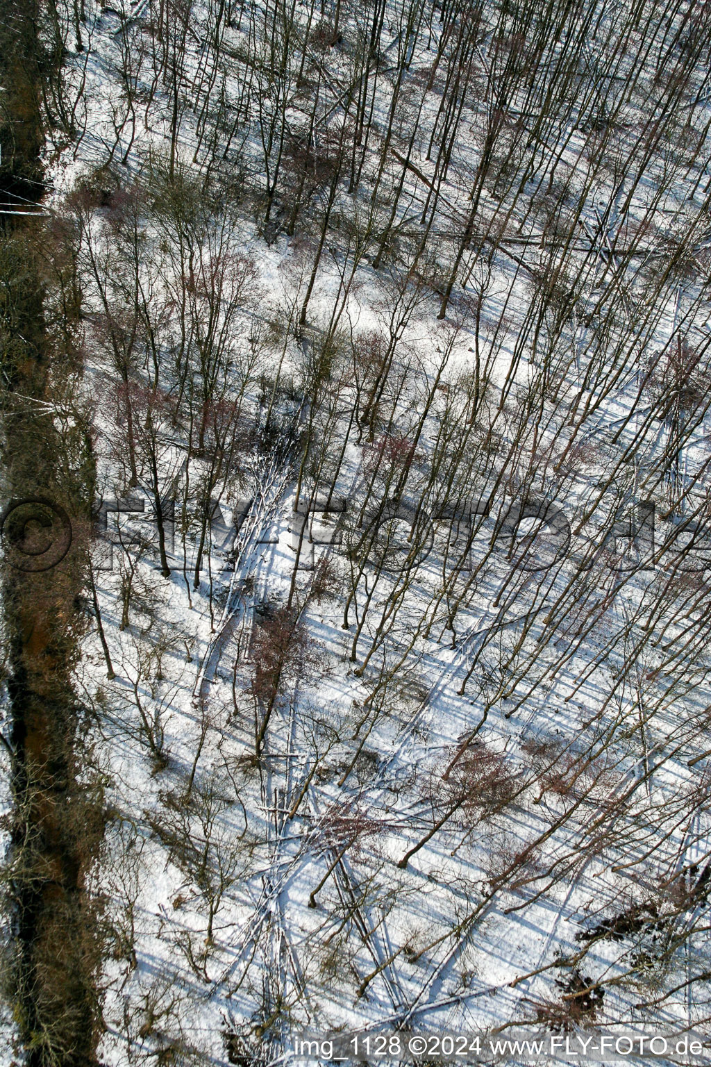 Vue aérienne de Bienwald d'hiver à Kandel dans le département Rhénanie-Palatinat, Allemagne