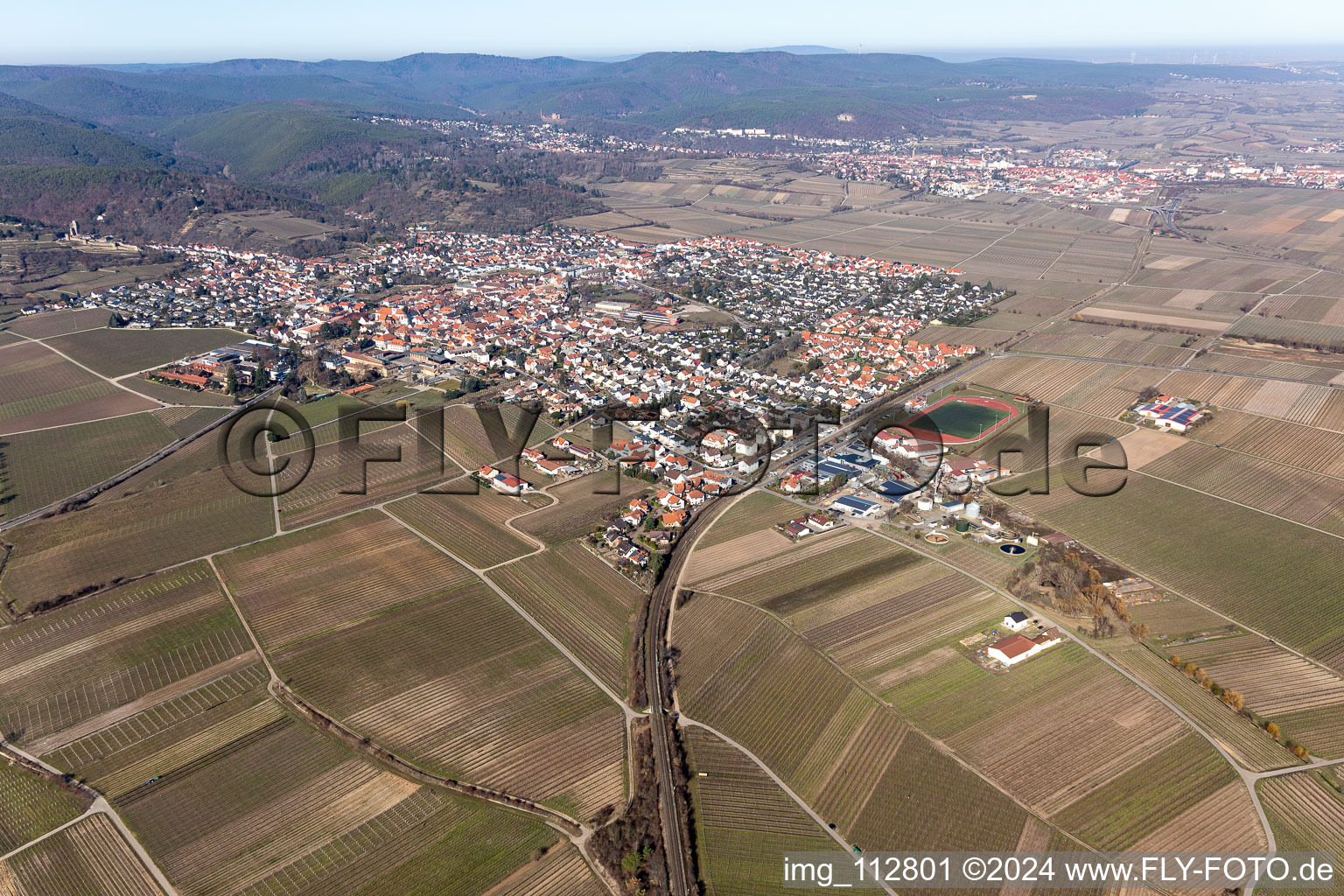 Vue oblique de Wachenheim an der Weinstraße dans le département Rhénanie-Palatinat, Allemagne