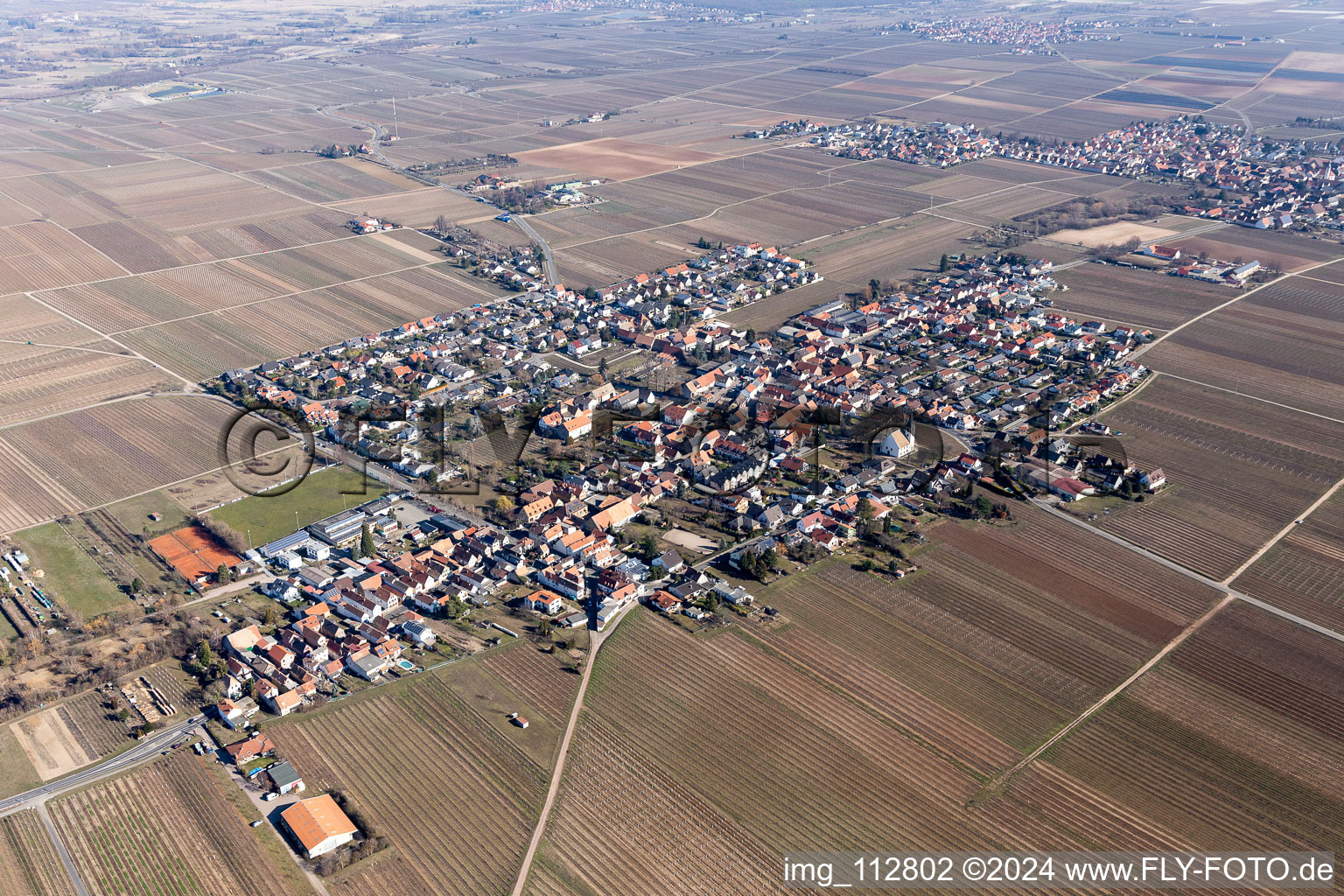 Friedelsheim dans le département Rhénanie-Palatinat, Allemagne hors des airs