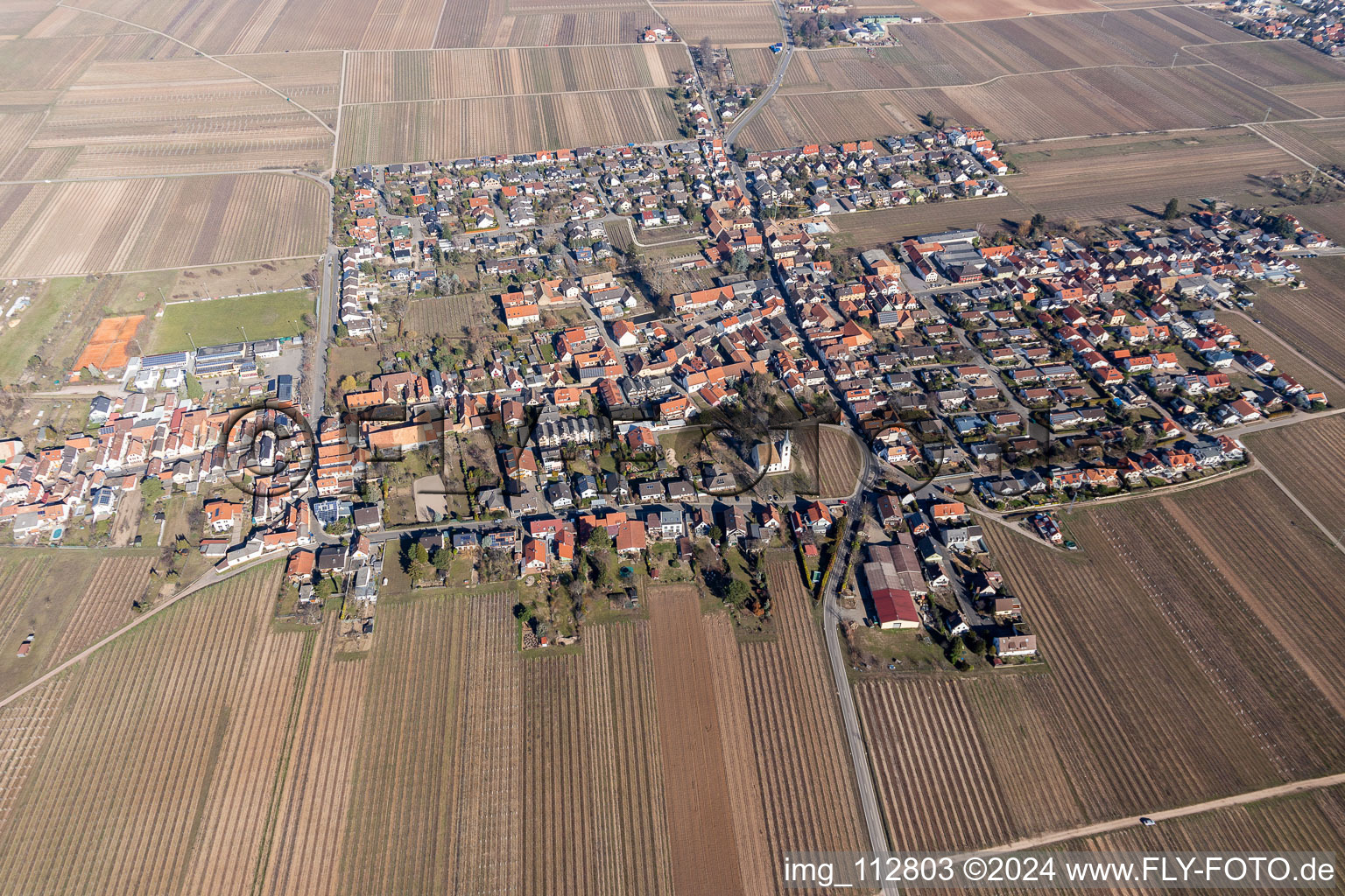 Friedelsheim dans le département Rhénanie-Palatinat, Allemagne vue d'en haut