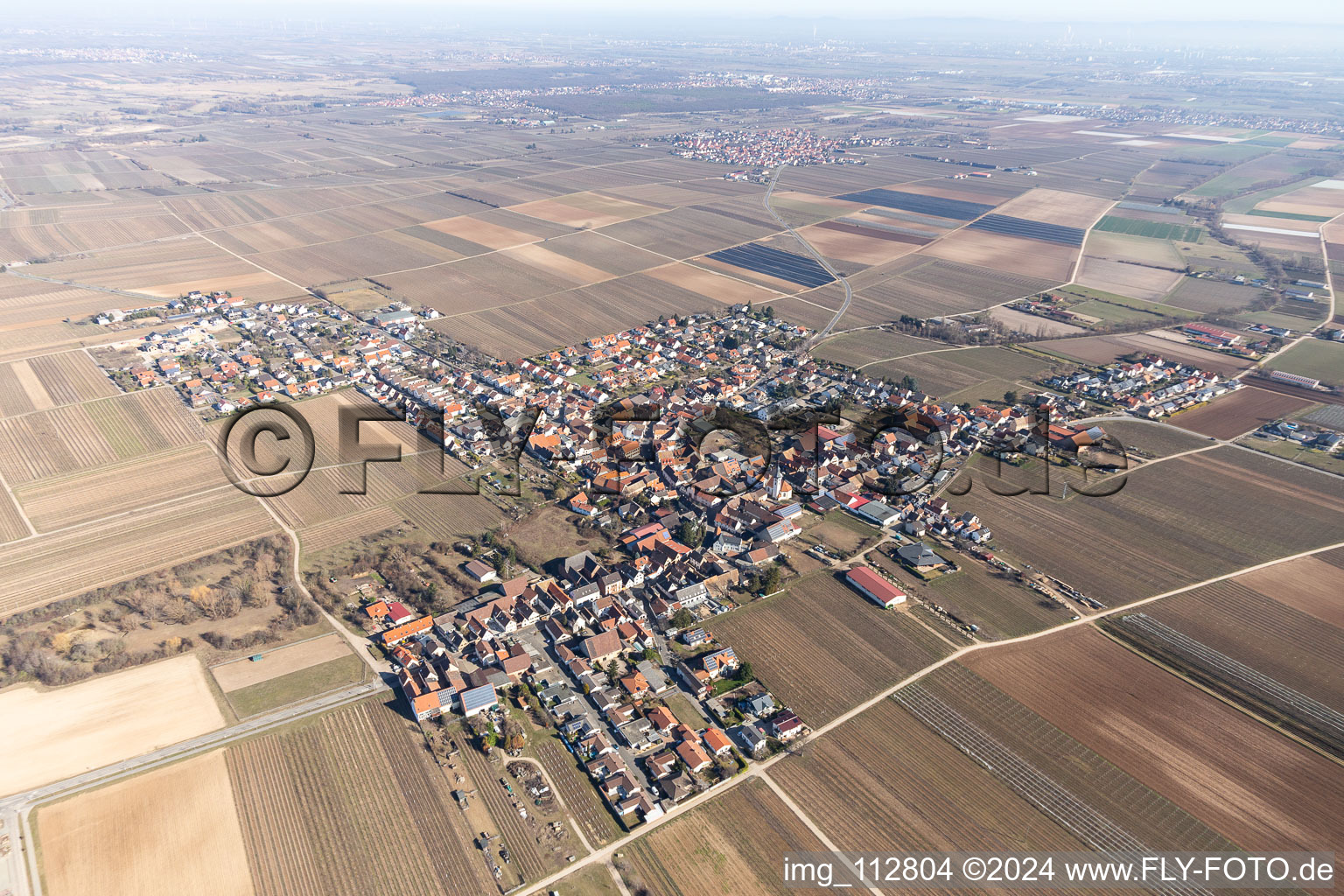 Gönnheim dans le département Rhénanie-Palatinat, Allemagne depuis l'avion