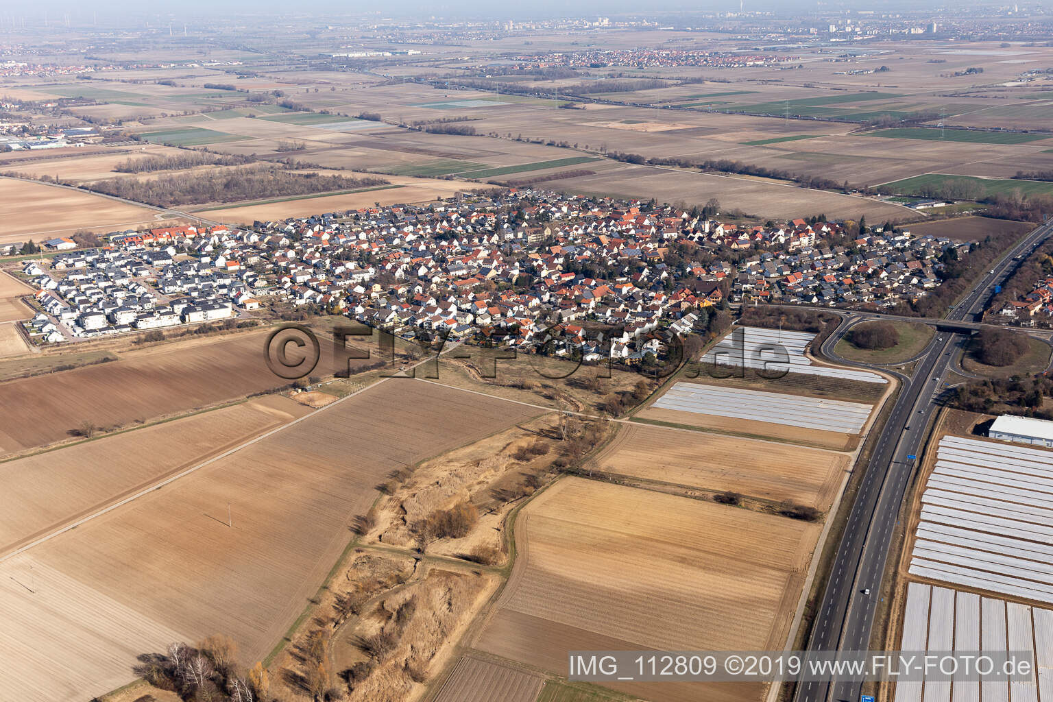 Vue aérienne de Quartier Schauernheim in Dannstadt-Schauernheim dans le département Rhénanie-Palatinat, Allemagne