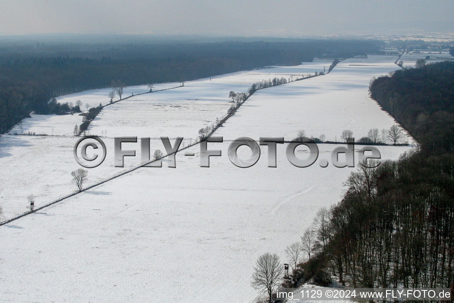 Vue aérienne de Bienwald d'hiver à Kandel dans le département Rhénanie-Palatinat, Allemagne