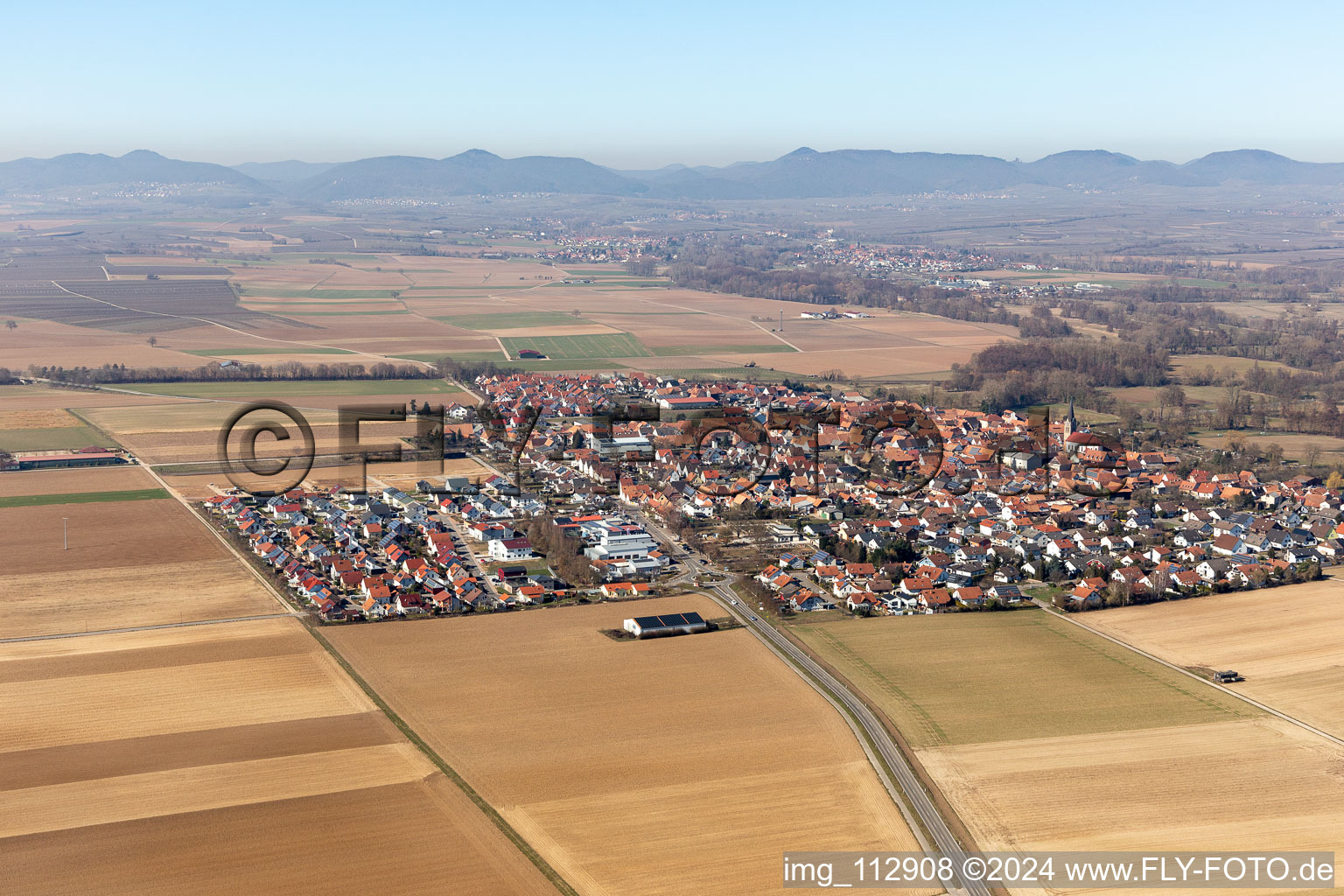 Steinweiler dans le département Rhénanie-Palatinat, Allemagne du point de vue du drone