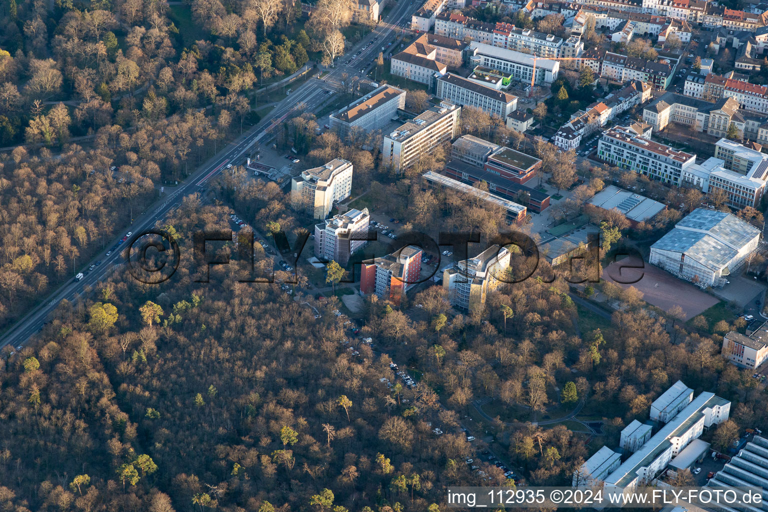 Vue aérienne de Domus 7, Maison Reinhold Schneider, Collège Hermann Ehlers à le quartier Innenstadt-West in Karlsruhe dans le département Bade-Wurtemberg, Allemagne