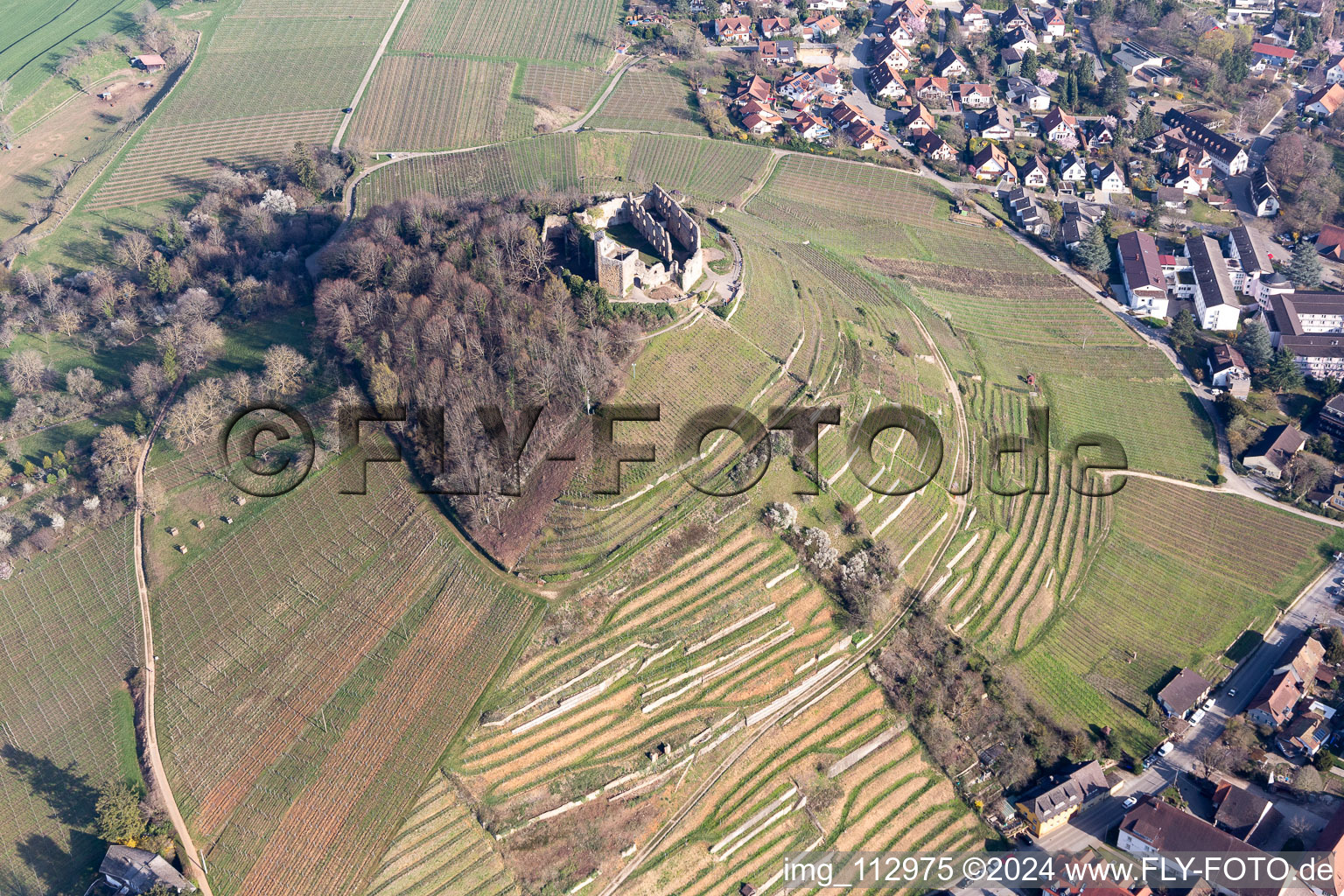 Vue aérienne de Ruines du château de Staufen à Staufen im Breisgau dans le département Bade-Wurtemberg, Allemagne