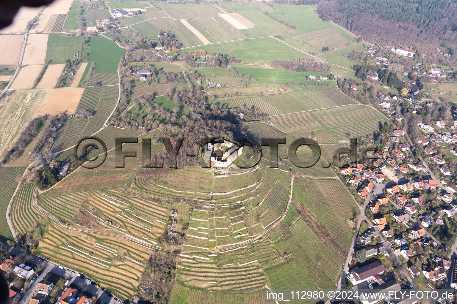 Photographie aérienne de Ruines du château de Staufen à Staufen im Breisgau dans le département Bade-Wurtemberg, Allemagne