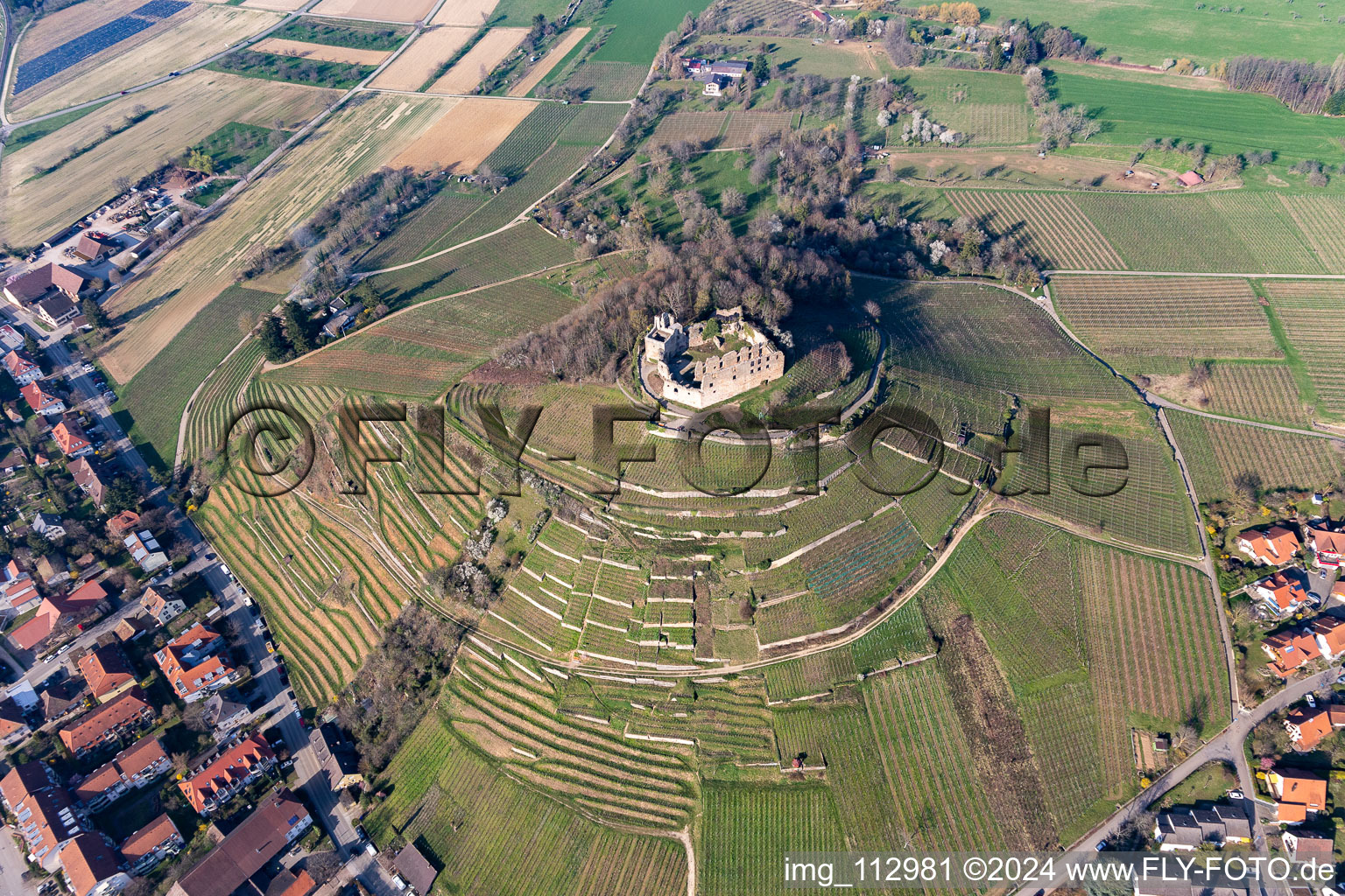 Vue aérienne de Ruines et vestiges du mur de l'ancien complexe du château de Staufen sur un vignoble en forme de cône à Staufen im Breisgau dans le département Bade-Wurtemberg, Allemagne