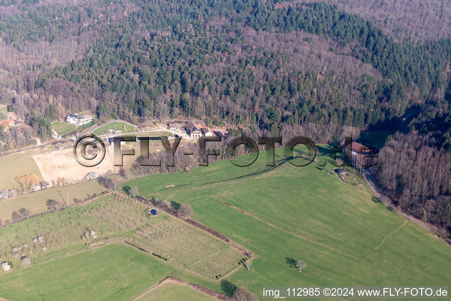 Vue oblique de Staufen im Breisgau dans le département Bade-Wurtemberg, Allemagne