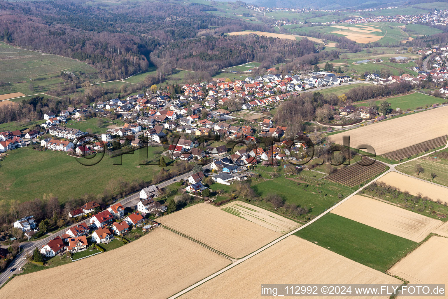 Vue aérienne de Bollschweil dans le département Bade-Wurtemberg, Allemagne