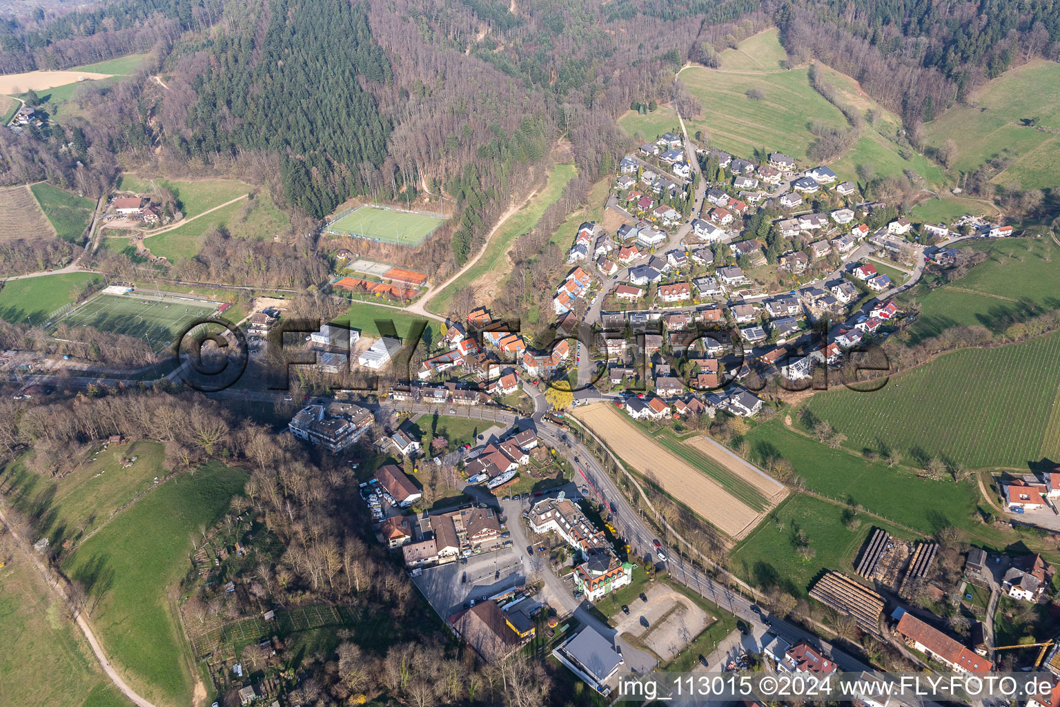 Vue aérienne de Au dans le département Bade-Wurtemberg, Allemagne