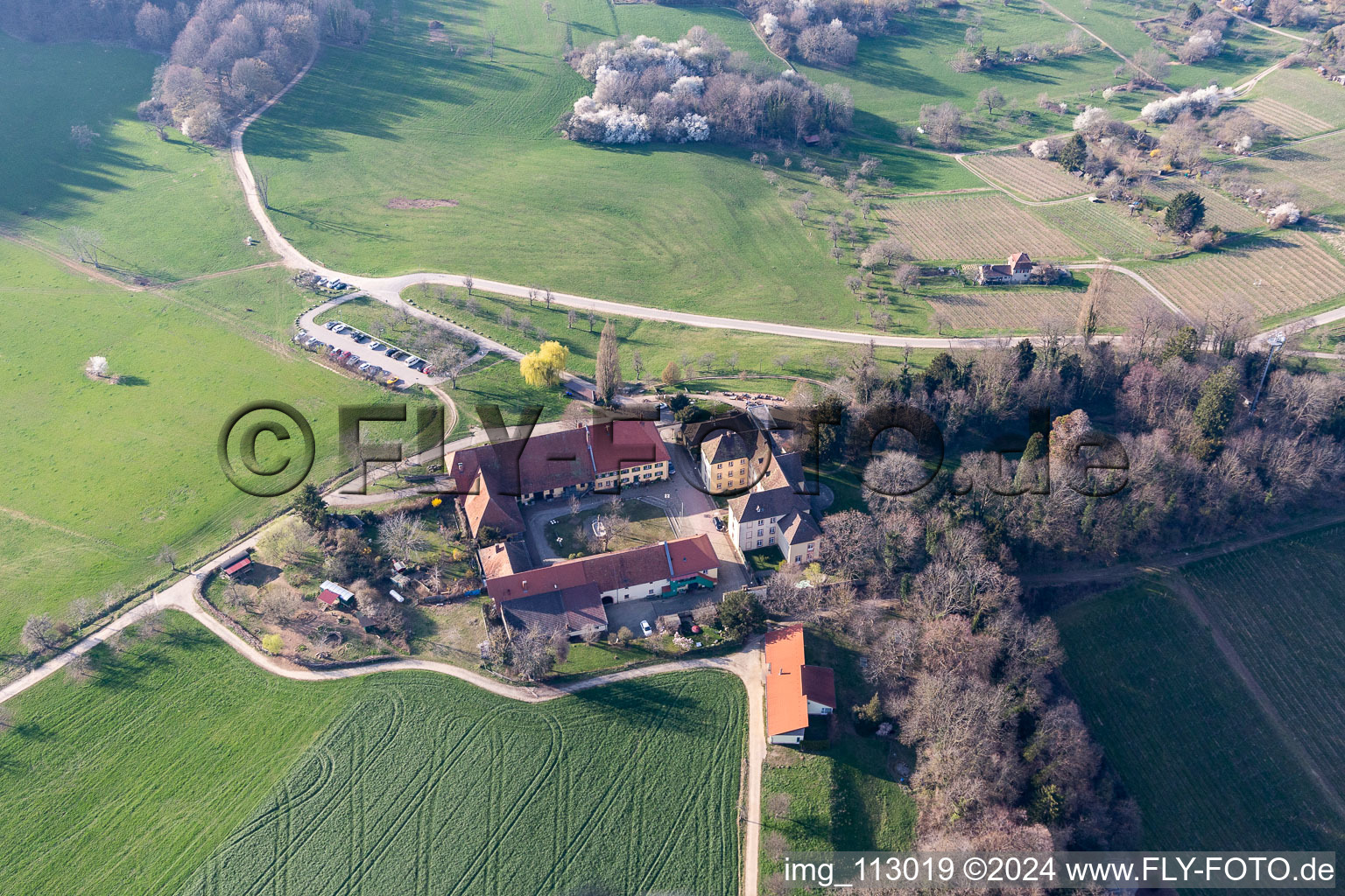 Vue aérienne de Château jésuite avec fondation viticole de Fribourg à Merzhausen dans le département Bade-Wurtemberg, Allemagne