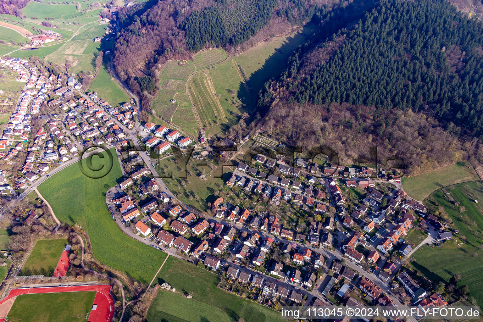 Vue aérienne de Vallée sauvage à Gundelfingen dans le département Bade-Wurtemberg, Allemagne