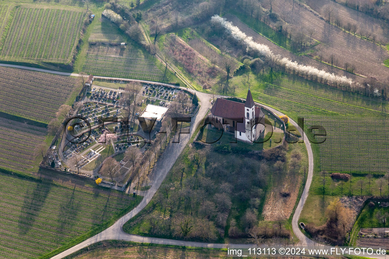 Vue aérienne de Église de montagne et cimetière de montagne Nimburg à Teningen à le quartier Nimburg in Teningen dans le département Bade-Wurtemberg, Allemagne