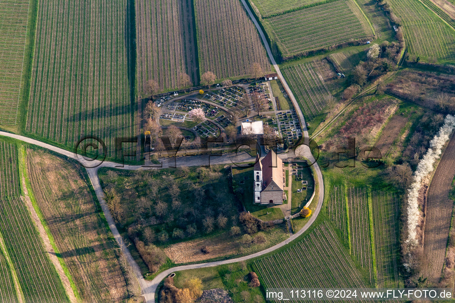 Vue aérienne de Église de montagne et cimetière de montagne Nimburg à Teningen à le quartier Nimburg in Teningen dans le département Bade-Wurtemberg, Allemagne