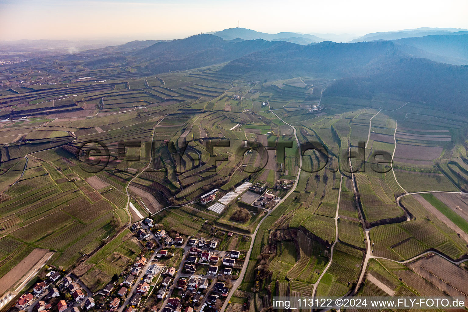 Photographie aérienne de Bahlingen am Kaiserstuhl dans le département Bade-Wurtemberg, Allemagne