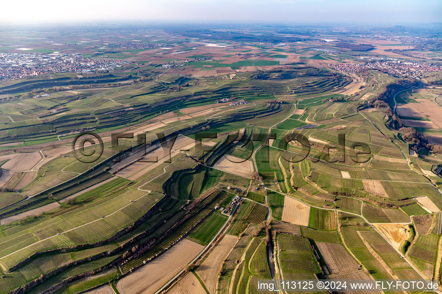 Vue aérienne de Riegel am Kaiserstuhl dans le département Bade-Wurtemberg, Allemagne