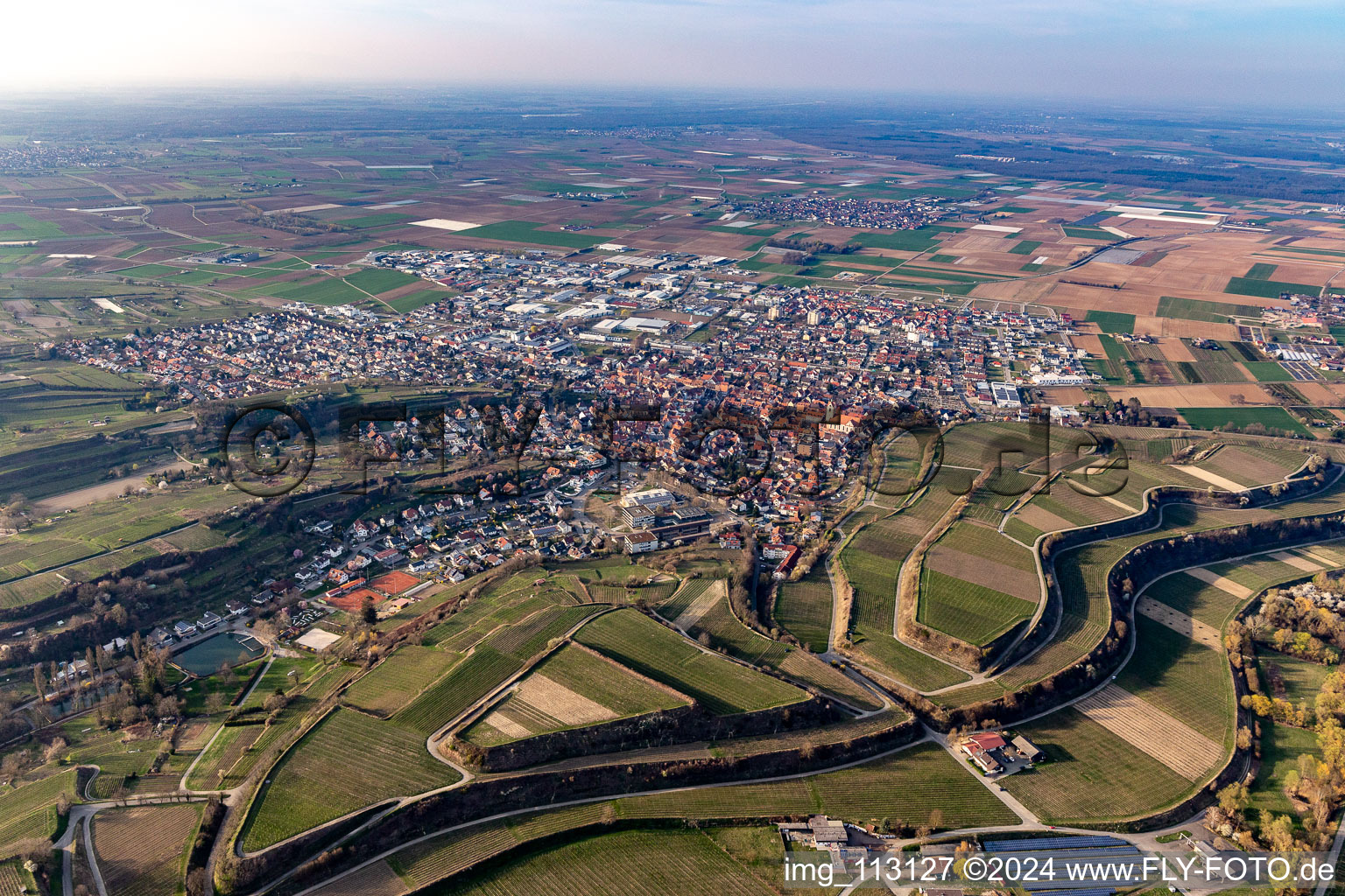 Vue aérienne de Périphéries et zones résidentielles périphériques à Endingen am Kaiserstuhl dans le département Bade-Wurtemberg, Allemagne