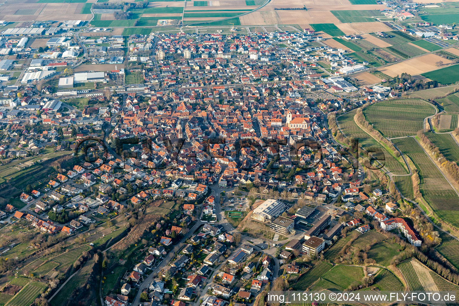 Vue aérienne de Périphéries et zones résidentielles périphériques à Endingen am Kaiserstuhl dans le département Bade-Wurtemberg, Allemagne