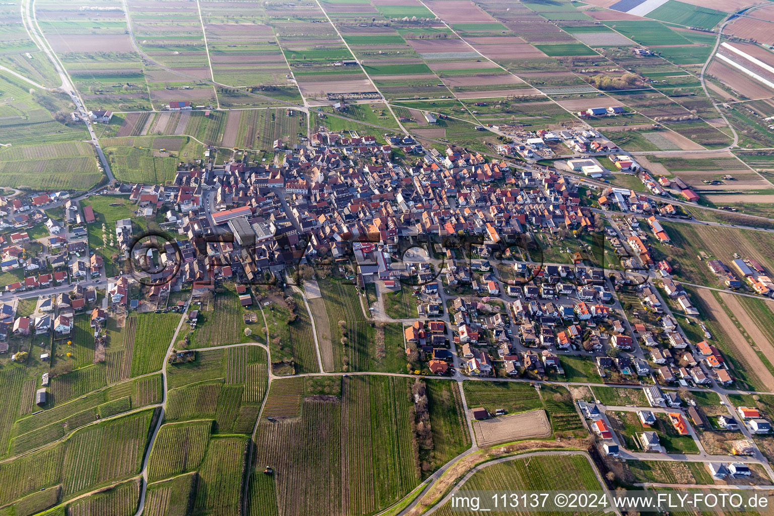 Vue aérienne de Königschaffhouse à Endingen am Kaiserstuhl dans le département Bade-Wurtemberg, Allemagne