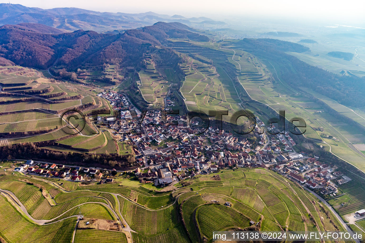 Vue aérienne de Paysage viticole des zones viticoles du Kaiserstuhl à Kiechlinsbergen à Endingen am Kaiserstuhl dans le département Bade-Wurtemberg, Allemagne