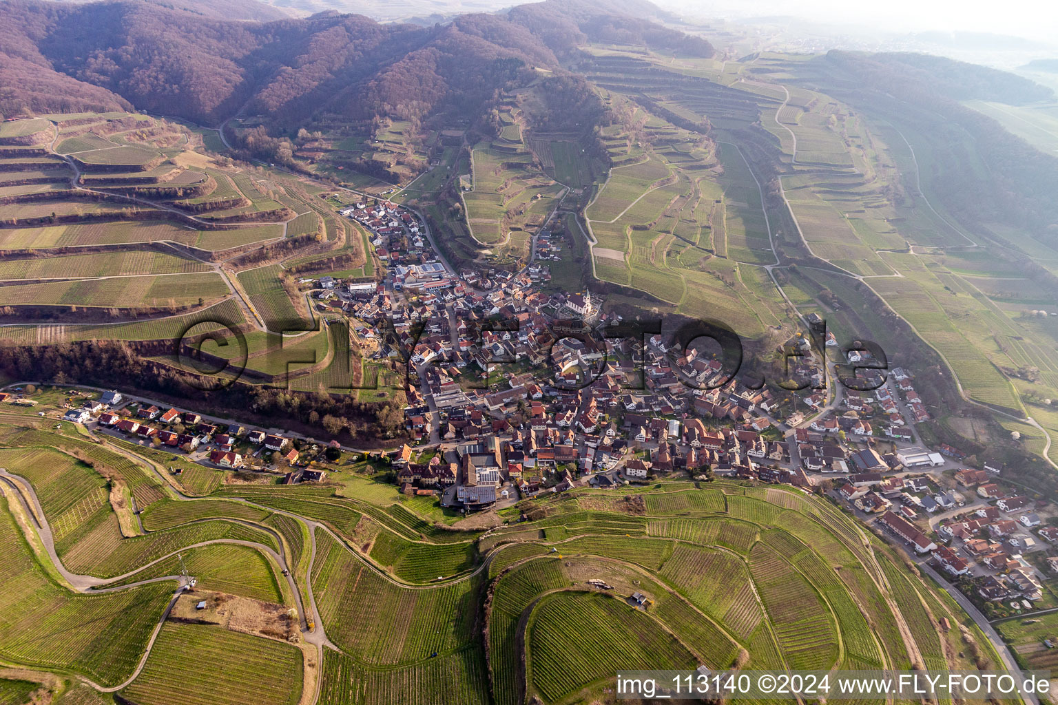 Vue aérienne de Kiechlinsbergen à Endingen am Kaiserstuhl dans le département Bade-Wurtemberg, Allemagne