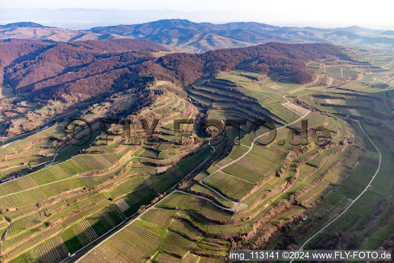 Vue aérienne de Endingen am Kaiserstuhl dans le département Bade-Wurtemberg, Allemagne