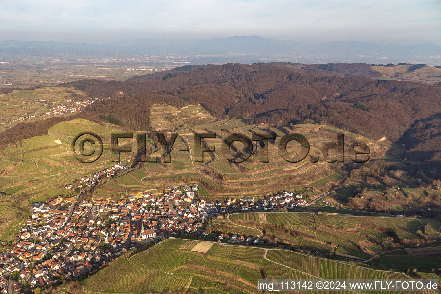 Vue aérienne de Kiechlinsbergen à Endingen am Kaiserstuhl dans le département Bade-Wurtemberg, Allemagne