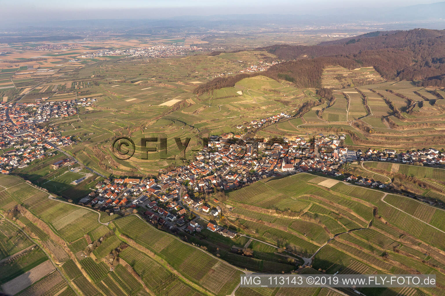 Photographie aérienne de Kiechlinsbergen à Endingen am Kaiserstuhl dans le département Bade-Wurtemberg, Allemagne
