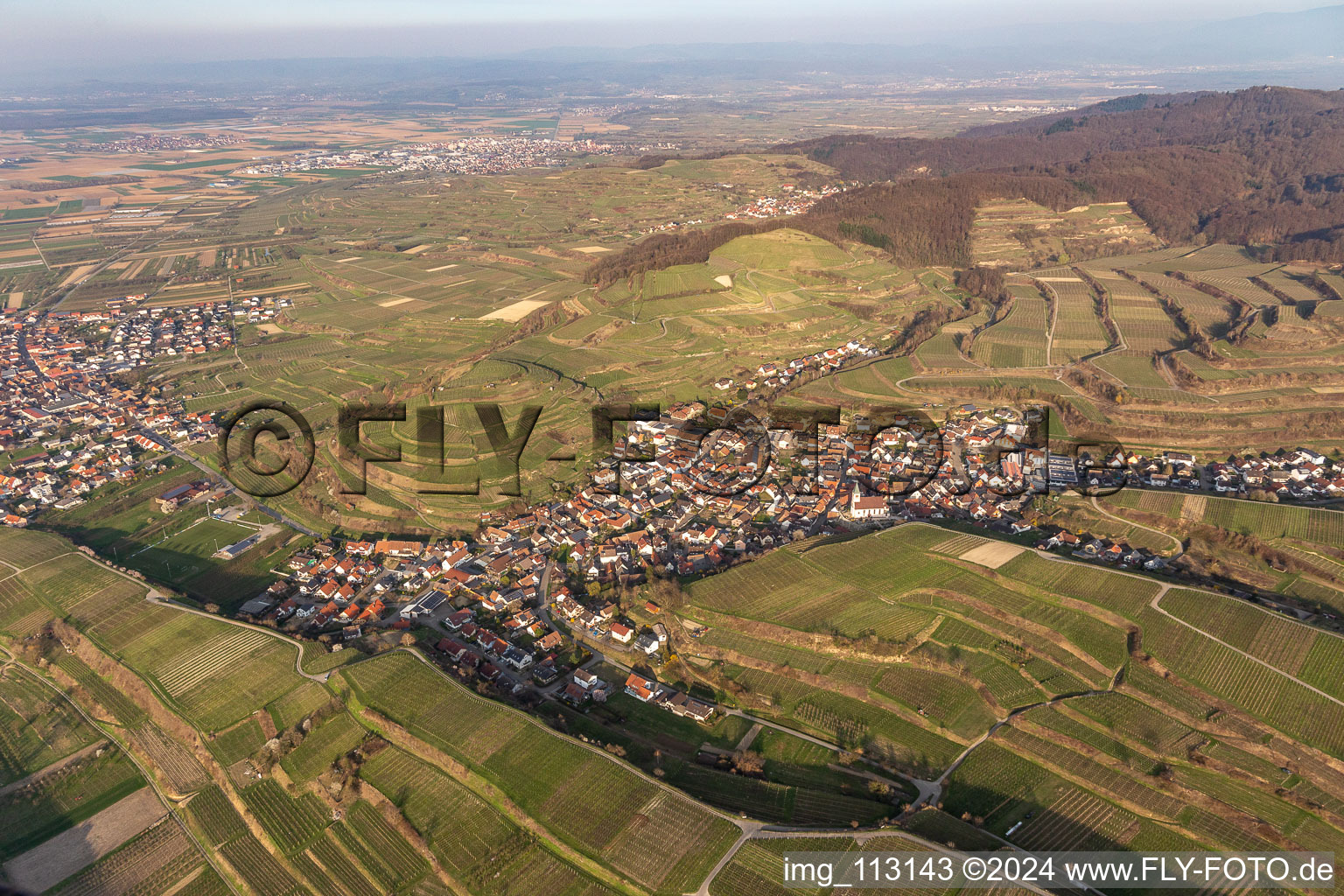 Photographie aérienne de Kiechlinsbergen à Endingen am Kaiserstuhl dans le département Bade-Wurtemberg, Allemagne