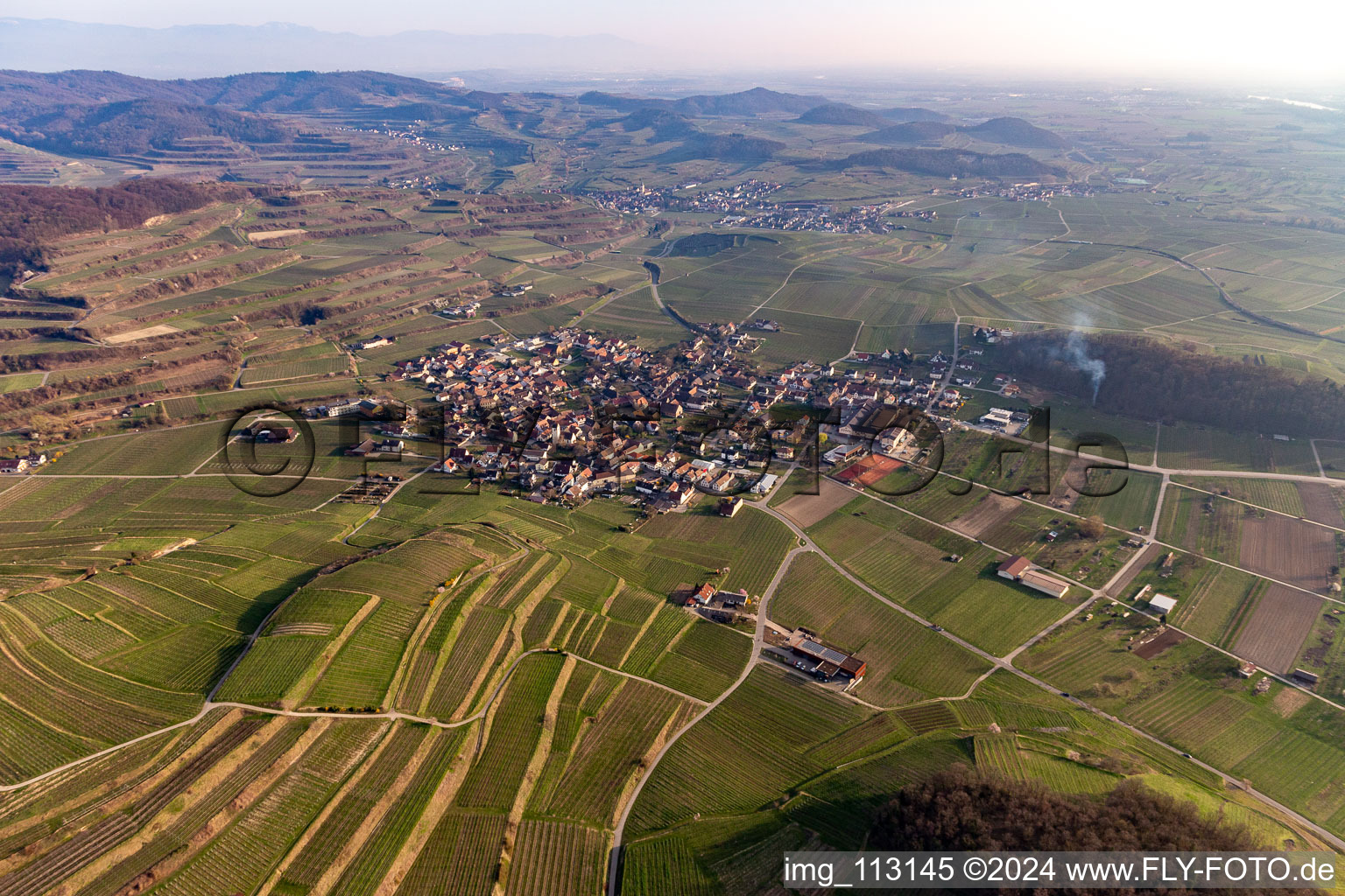 Vue aérienne de Quartier Bischoffingen in Vogtsburg im Kaiserstuhl dans le département Bade-Wurtemberg, Allemagne