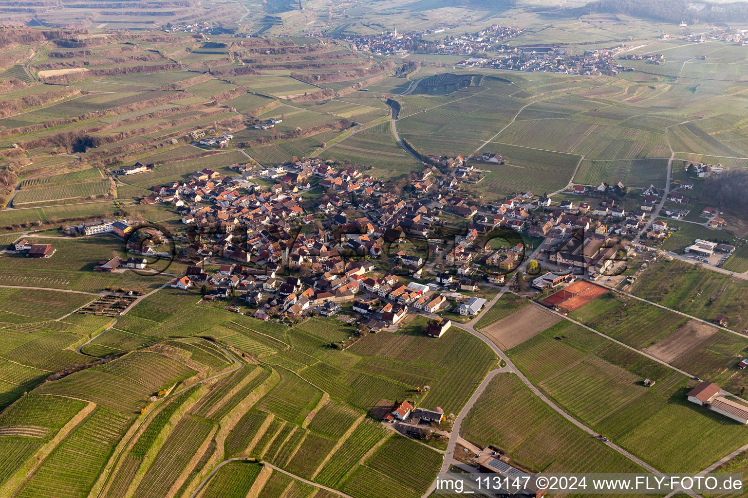 Vue aérienne de Quartier Bischoffingen in Vogtsburg im Kaiserstuhl dans le département Bade-Wurtemberg, Allemagne