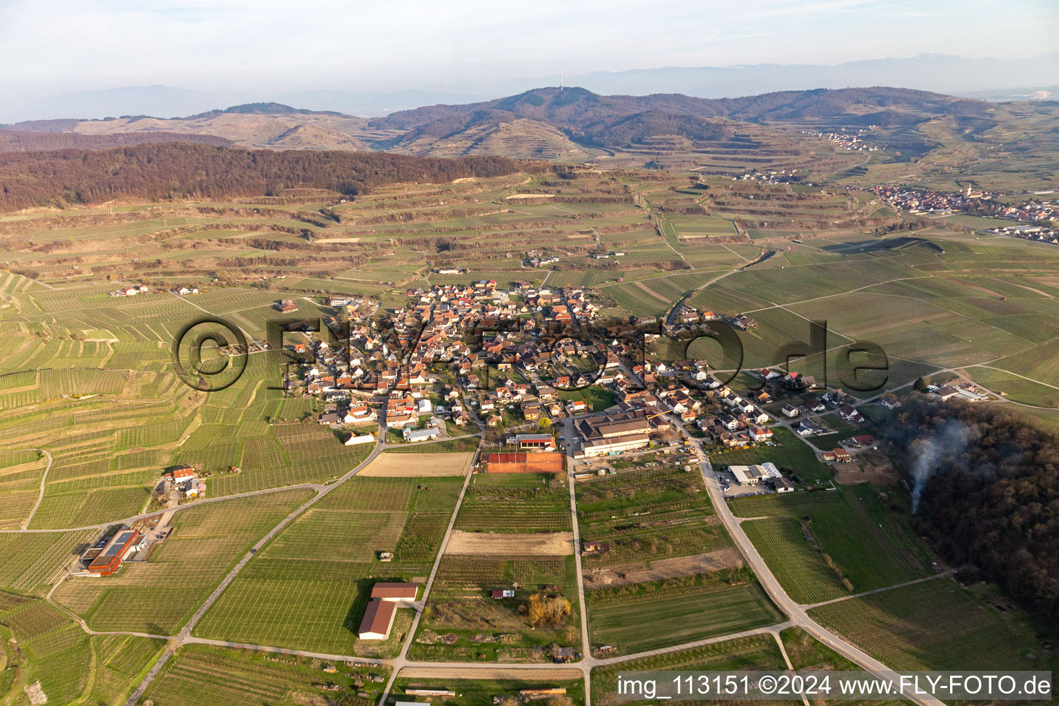 Vue oblique de Quartier Bischoffingen in Vogtsburg im Kaiserstuhl dans le département Bade-Wurtemberg, Allemagne