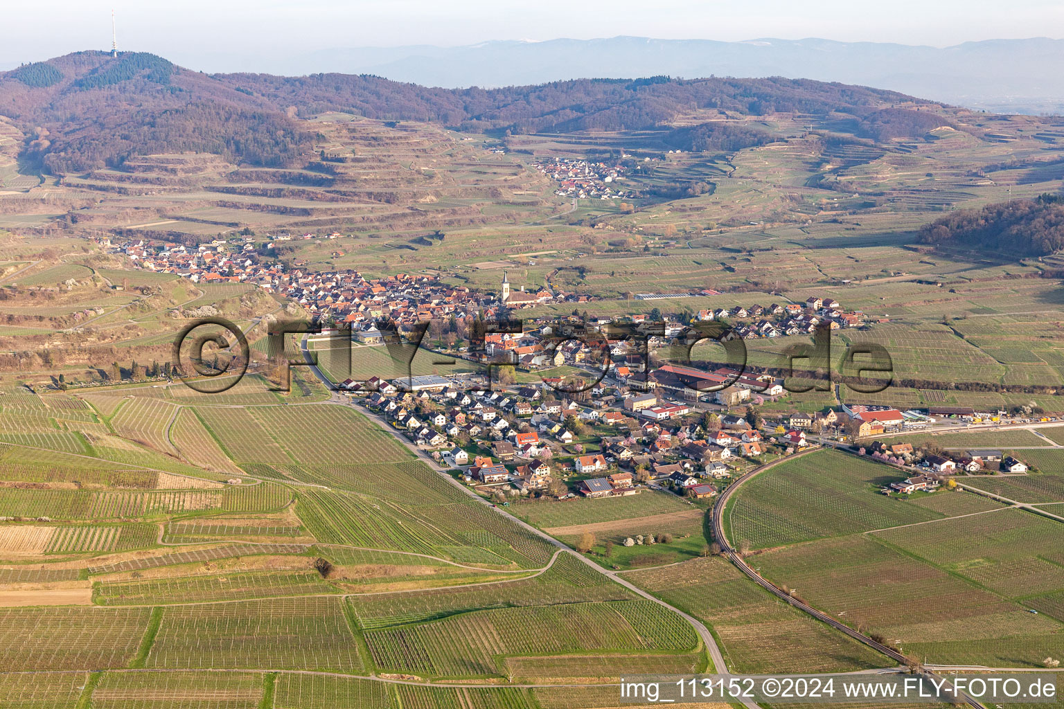 Vue aérienne de Quartier Oberrotweil in Vogtsburg im Kaiserstuhl dans le département Bade-Wurtemberg, Allemagne