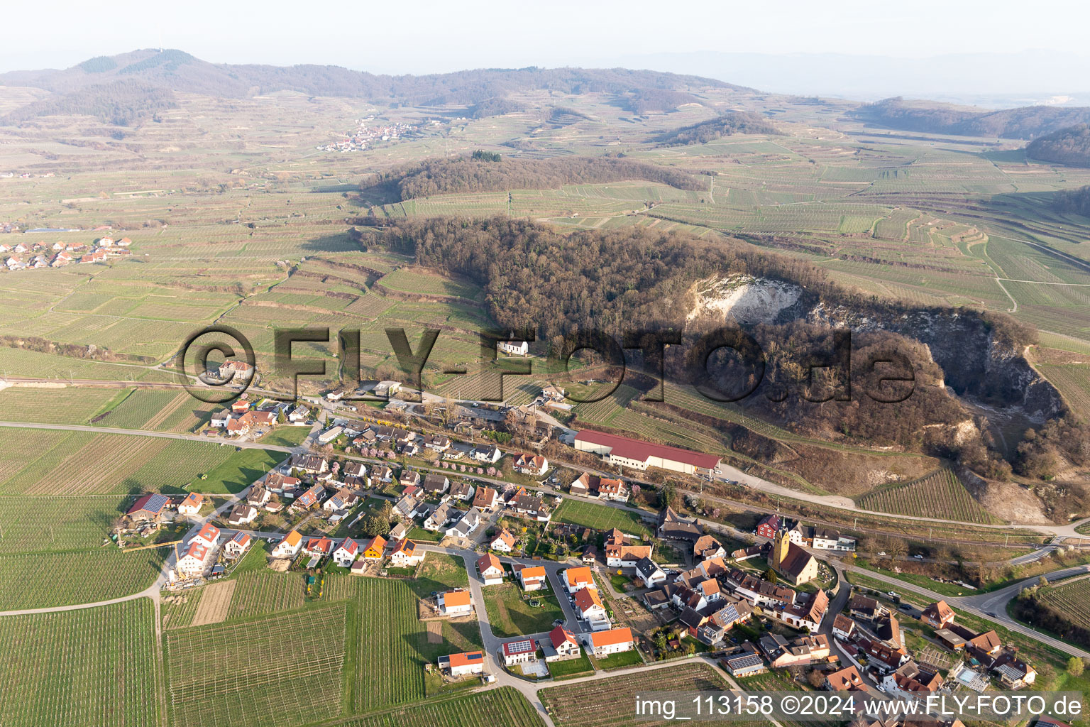 Vue oblique de Quartier Oberrotweil in Vogtsburg im Kaiserstuhl dans le département Bade-Wurtemberg, Allemagne