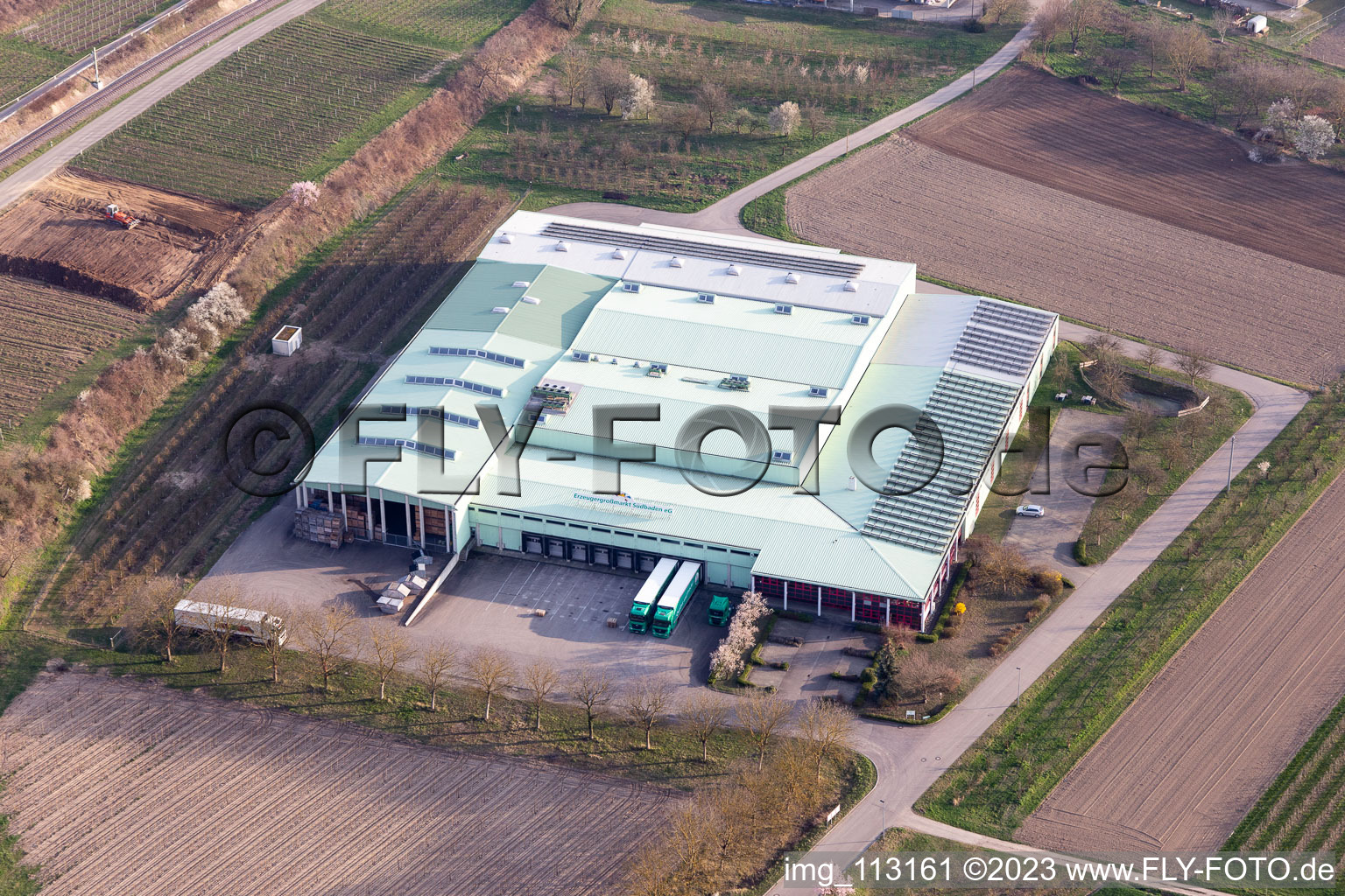 Vue aérienne de Locaux de l'entreprise du marché de gros des producteurs de Südbaden e:g avec halles, bâtiments d'entreprise et installations de production à Vogtsburg im Kaiserstuhl dans le département Bade-Wurtemberg, Allemagne