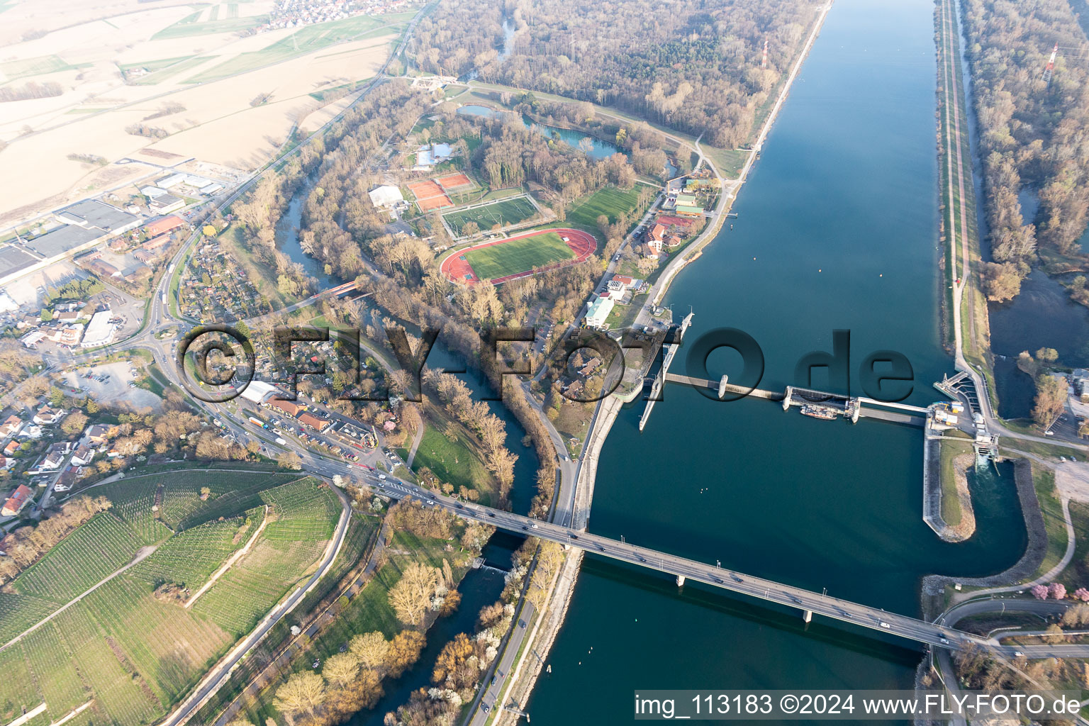 Vue aérienne de Stade forestier, piscine forestière à Breisach am Rhein dans le département Bade-Wurtemberg, Allemagne