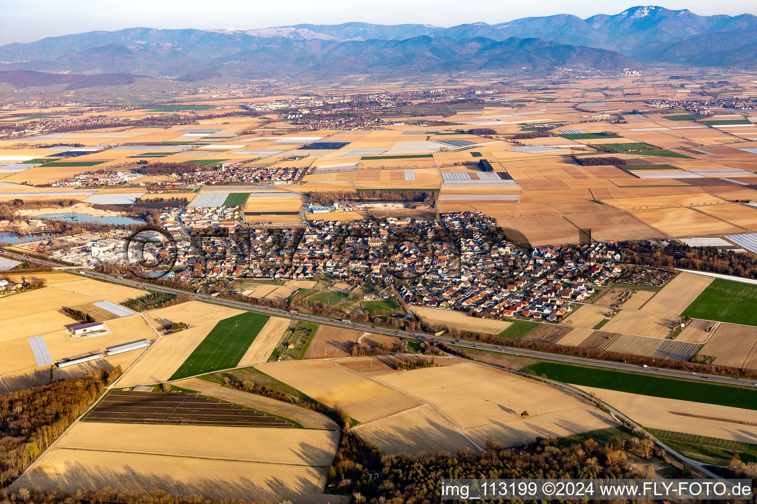 Vue aérienne de Hartheim am Rhein dans le département Bade-Wurtemberg, Allemagne