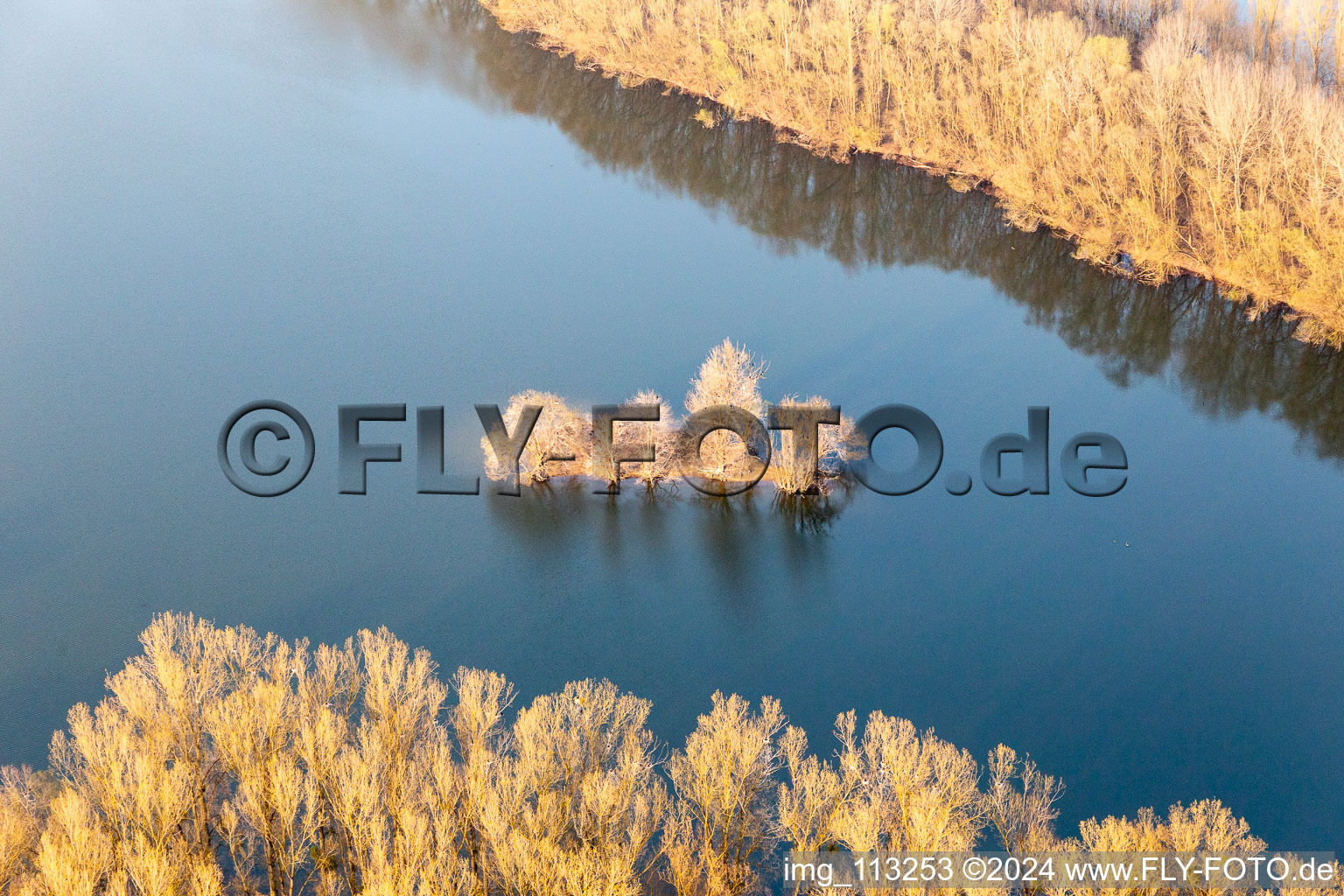 Vue aérienne de Vieille île du Rhin à Leimersheim dans le département Rhénanie-Palatinat, Allemagne