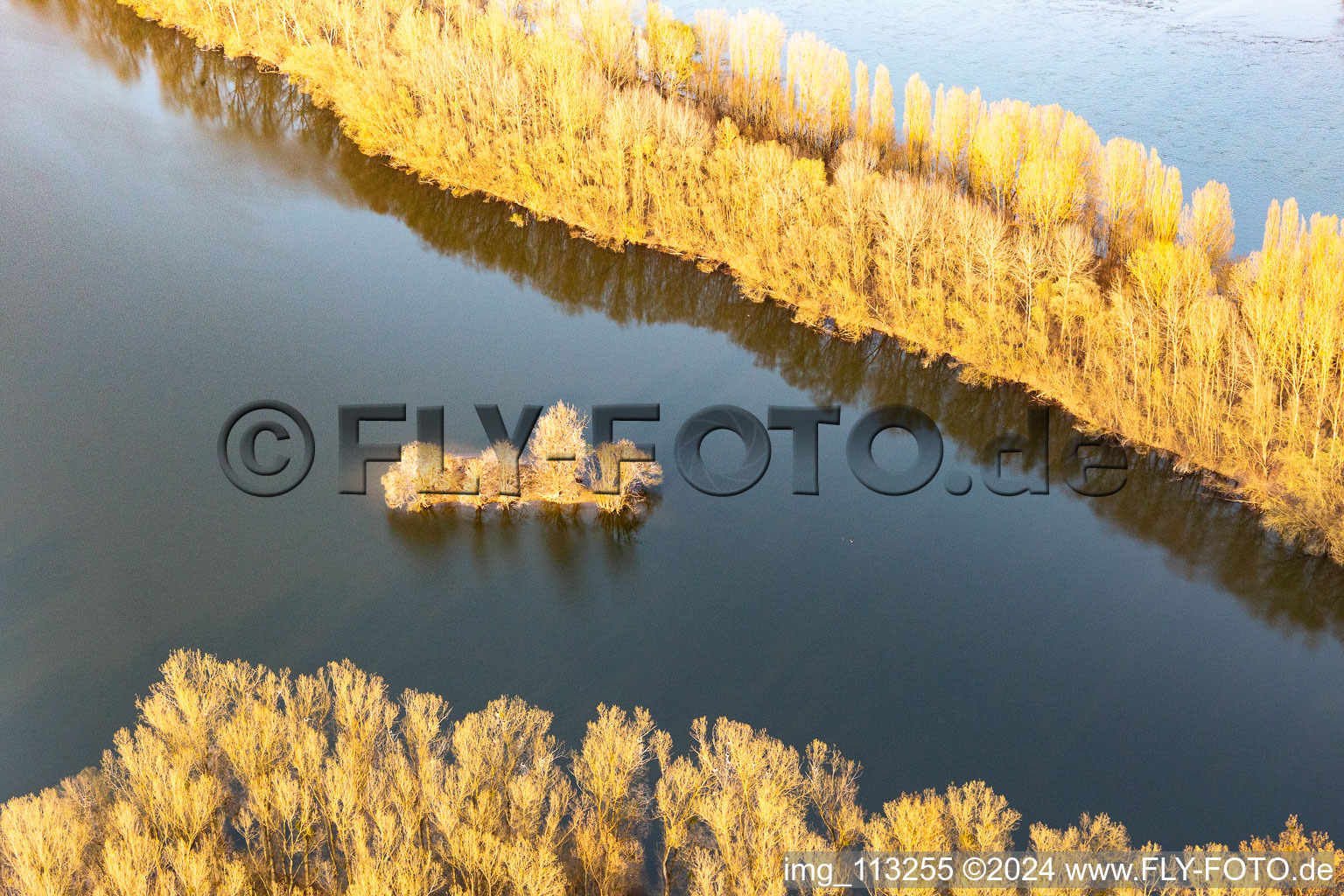 Vue aérienne de Vieille île du Rhin à Leimersheim dans le département Rhénanie-Palatinat, Allemagne