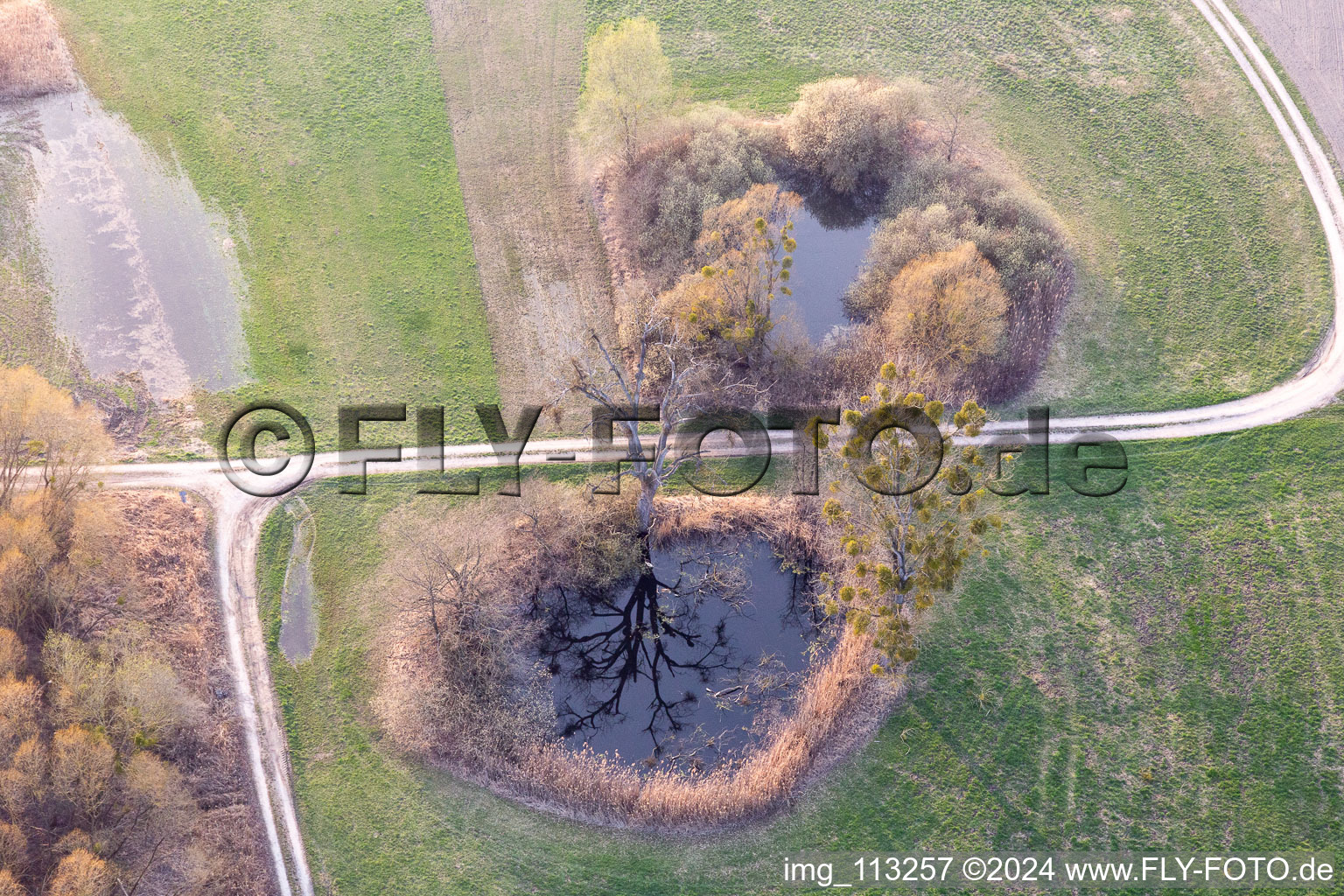 Vue aérienne de Piscines dans un paysage de plaine inondable du Rhin à Leimersheim dans le département Rhénanie-Palatinat, Allemagne