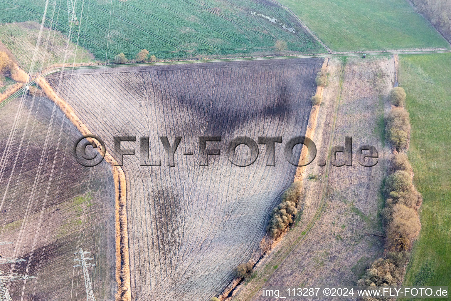 Image drone de Leimersheim dans le département Rhénanie-Palatinat, Allemagne