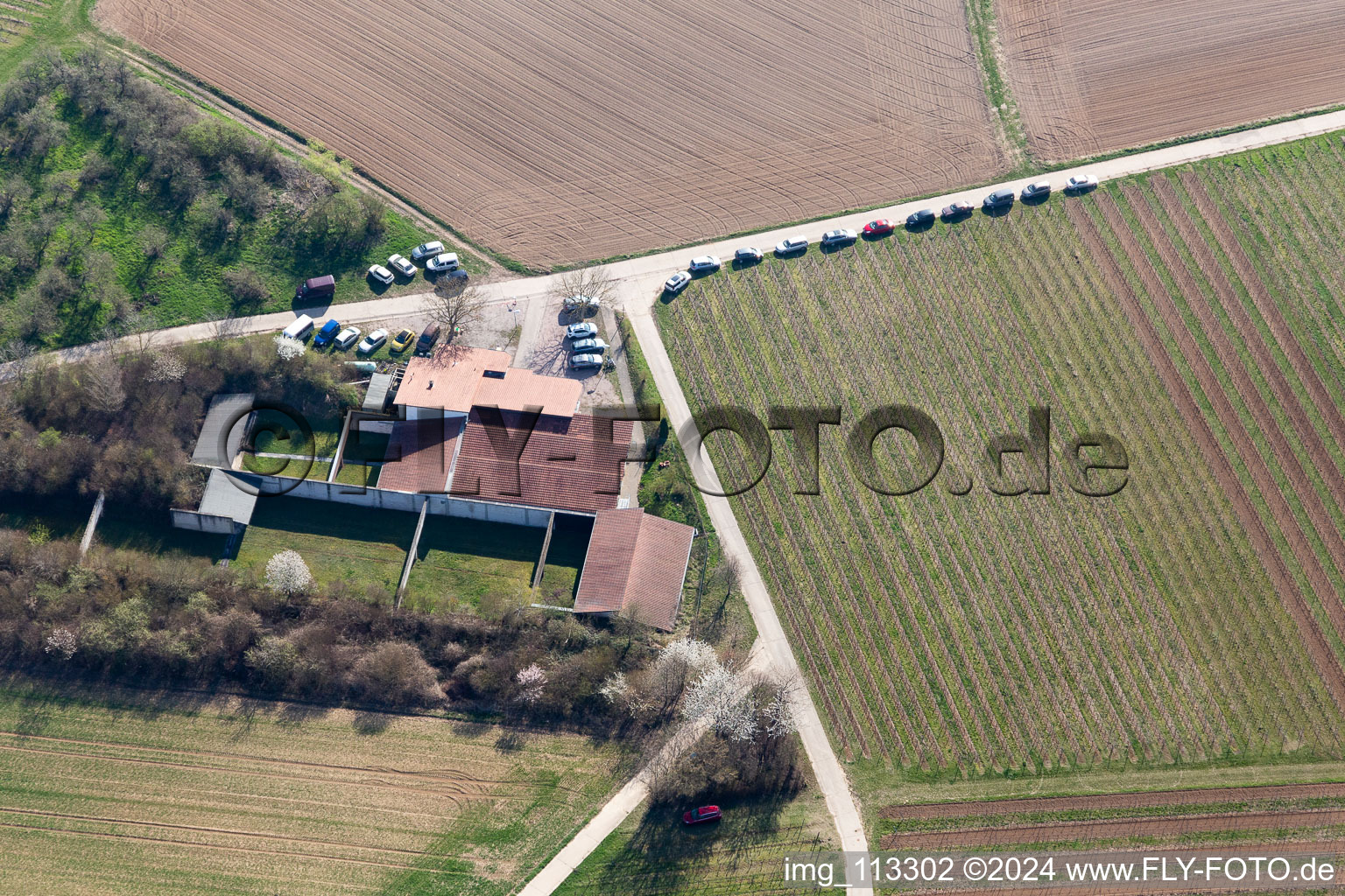 Vue aérienne de Club de tir à Billigheim-Ingenheim dans le département Rhénanie-Palatinat, Allemagne