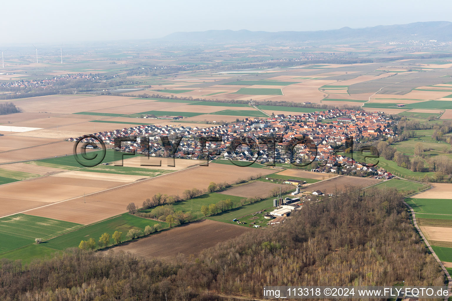 Vue aérienne de Steinweiler dans le département Rhénanie-Palatinat, Allemagne