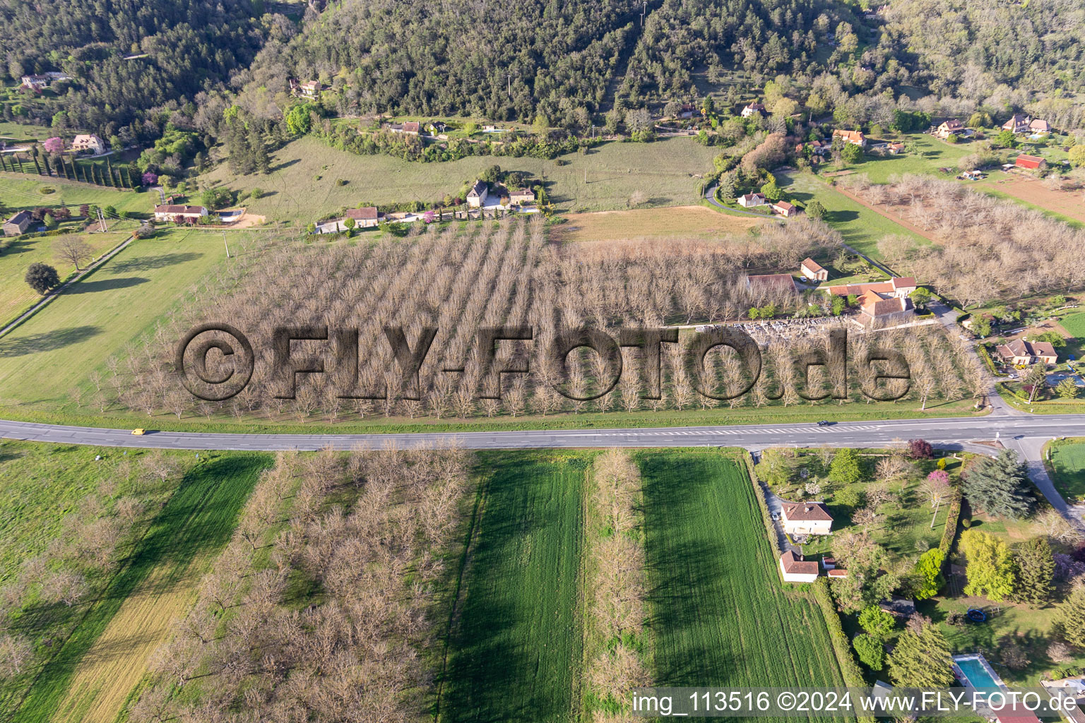 Vue aérienne de Plantations de noyers à Saint-Vincent-de-Cosse dans le département Dordogne, France
